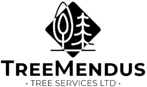 Treemendus Tree Services